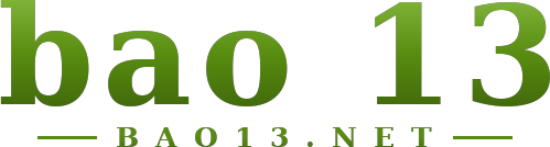 bao 13 logo